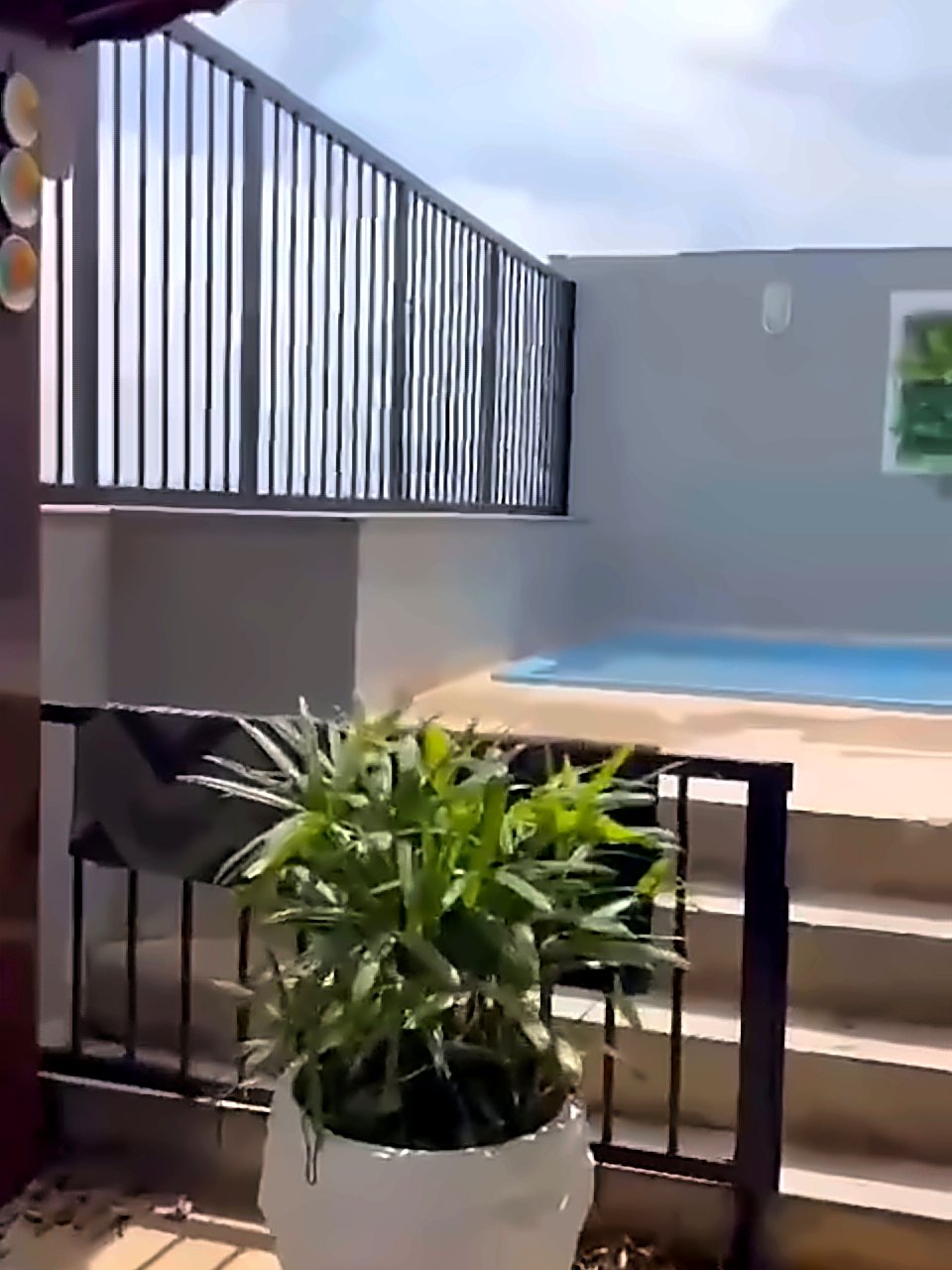 Piscina da cobertura com vaso de planta em primeiro plano