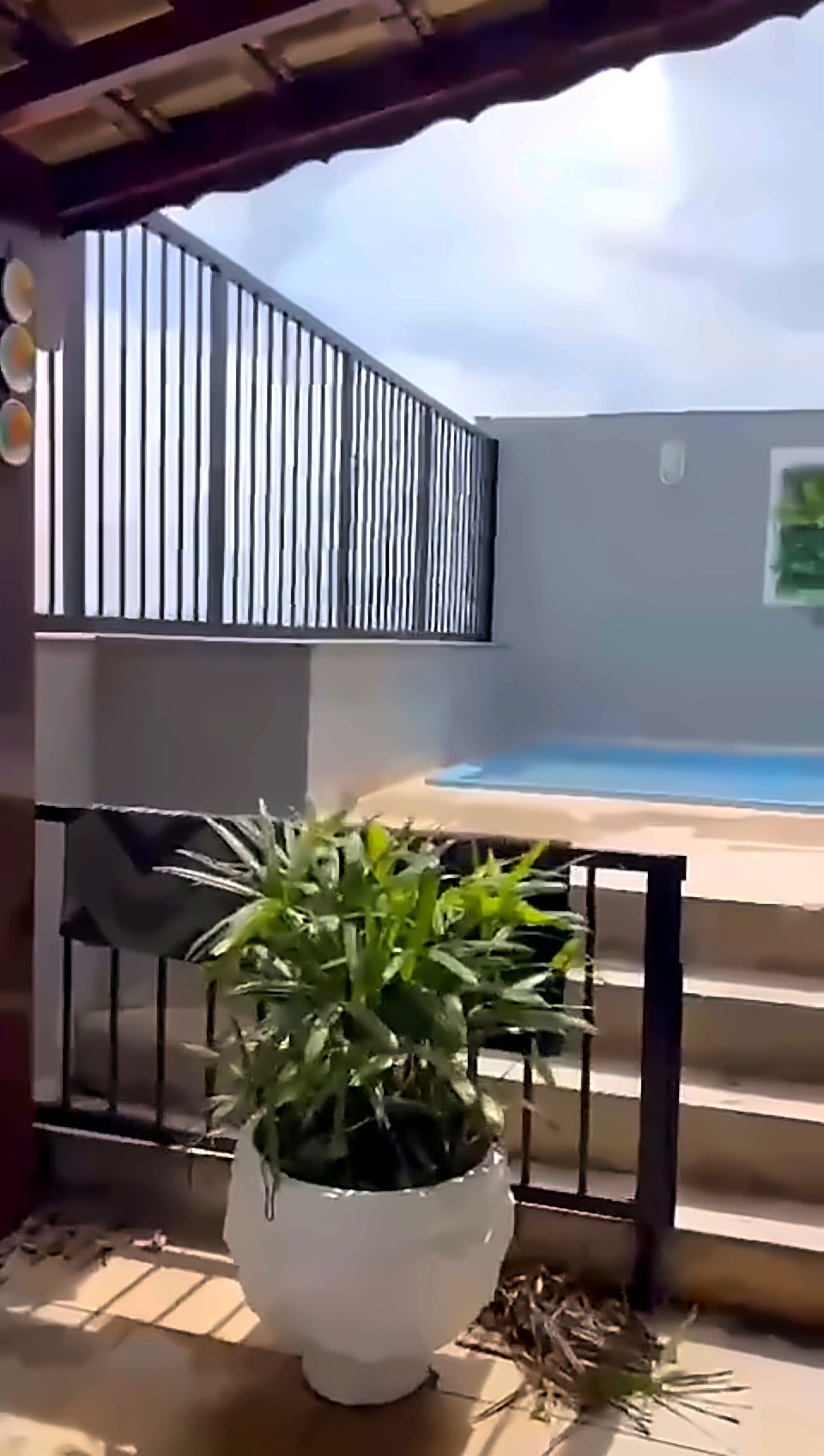Piscina da cobertura com vaso de planta em primeiro plano