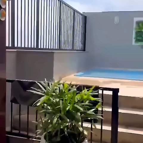 Piscina da cobertura com vaso de planta em primeiro plano